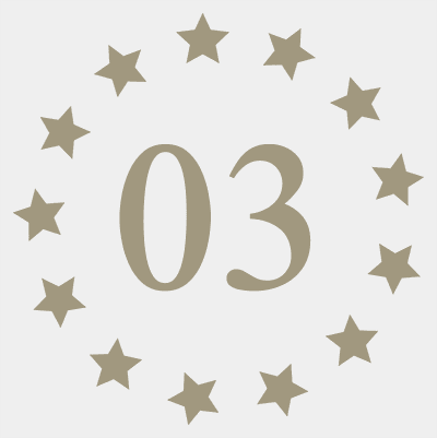 Star 03 Standard Land